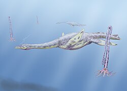 Illustration of a plesiosaur swimming in ocean with ammonites