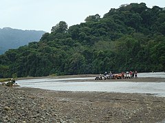 Tour de ATV cerca de La Gallega (Quepos).