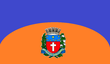 Vlag van Santa Cruz da Conceição