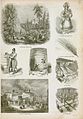 Image 11An illustration of brewing and distilling industry methods in England, 1858 (from Liquor)