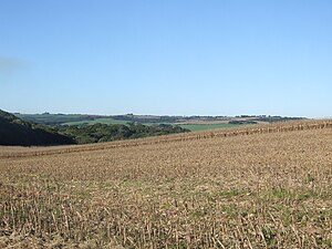 English: Agriculture in Campos Novos, State of...