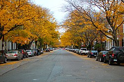 Chestnut Street Salem.jpg