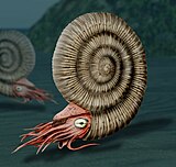 Künstlerische Nachbildung eines Ammoniten