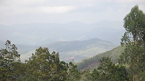 Nilgiri Hills from atop Doddabetta Peak