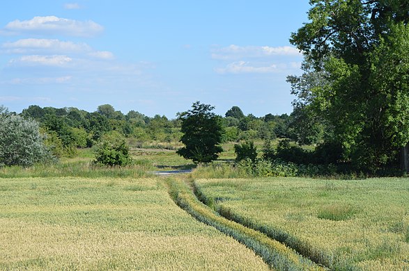 Agricultural fields north of Brzeg, Poland