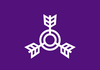 Flag of Miyakonojō