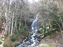 Cascade in the Pyrenees Gabas 007.jpg