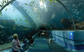 The Ocean Voyager exhibit tunnel