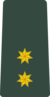 Армия Грузии OF-1b.png