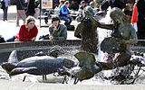 The fountain in Ghirardelli Square