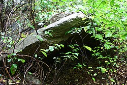 Das erhaltene Großsteingrab Bexhövede 1