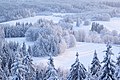 16. Téli táj a Suur Munamägi tetejéről nézve (Haanja, Észtország) (javítás)/(csere)