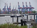 Hamburg Hafen, Containerterminal