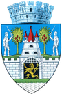 Satu Mare – znak