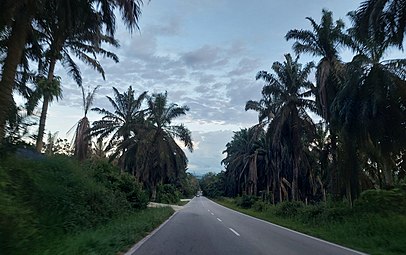 Jalan Negeri Kedah K907