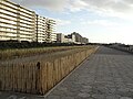 Le Touquet-Paris-Plage - Les oyats de la digue-promenade (3)