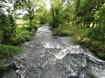 La Lizonne au pont marquant la limite entre Vendoire (RD 102, Dordogne, à gauche) et Gurat (RD 81, Charente).