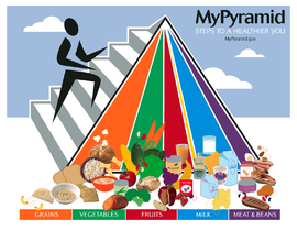 On health: The updated USDA food pyramid, published in 2005, is a general nutrition guide for recommended food consumption.
