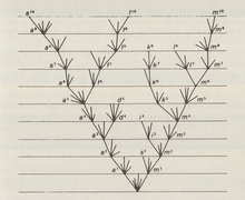 Tree diagram in Origin Origin of Species illustration cropped.png