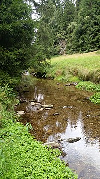 Oswaldbach nördlich von Waschleithe.