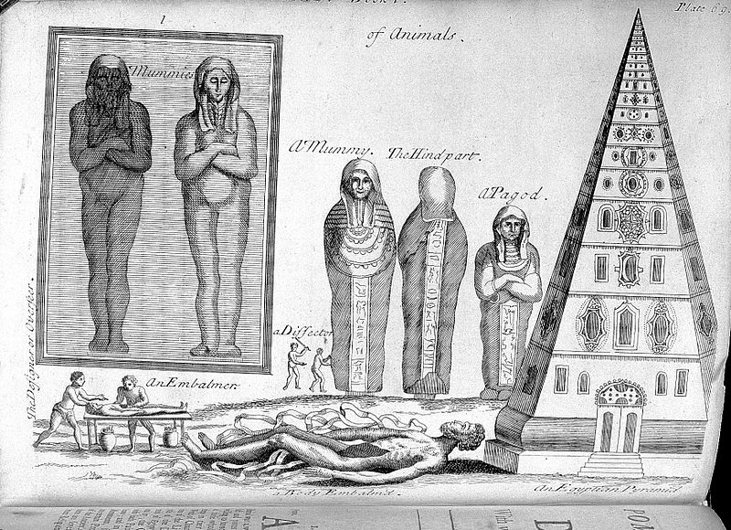 File:P. Pomet, A compleat history of druggs...; mummies Wellcome L0028504.jpg