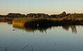 Park Lingezegen, natural landscape at Rijkerswoerdse Plassen