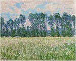 "Prairie à Giverny" (1885) de Claude Monet (W 992)