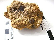 Oxidized pyrite cubes PyOx.JPG