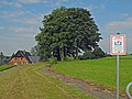 Sachgesamtheitsbestandteil der Sachgesamtheit Revierwasserlaufanstalt (ID-Nr. 08991218) im Ortsteil Dittmannsdorf mit Einzeldenkmalen