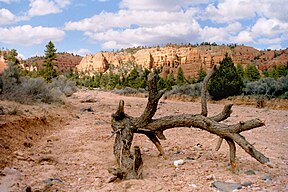 Red Canyon im Dixie National Forest