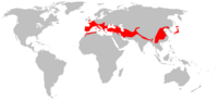 Distribución da especie