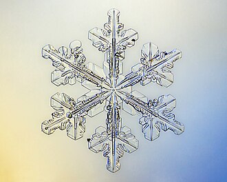 Macro photography of a natural snowflake Snowflake (lumehelves).jpg