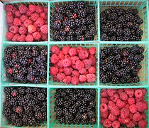 Raspberry and blackberry farming