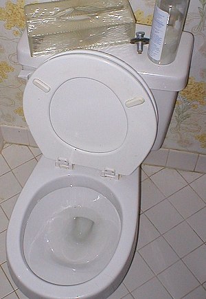 A toilet with the potentially dangerous arrang...
