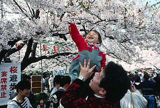 Hanami di Taman Ueno, Tokyo