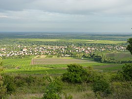 View of Abasár with vineyards from Sár Hill.jpg