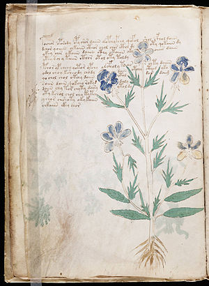 A page from the mysterious Voynich manuscript,...