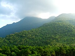 Wana Taman Nasional Ba Vì