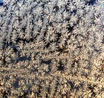 WindowFrost121609.jpg