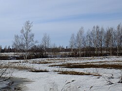 Landscape of Smidovichsky District, with the settlement of Volochayevka-2 visible on the horizon