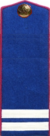 погон 1943