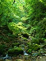 Giardino roccioso