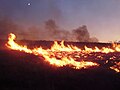 Image 14Lightning-sparked wildfires are frequent occurrences during the dry summer season in Nevada. (from Wildfire)