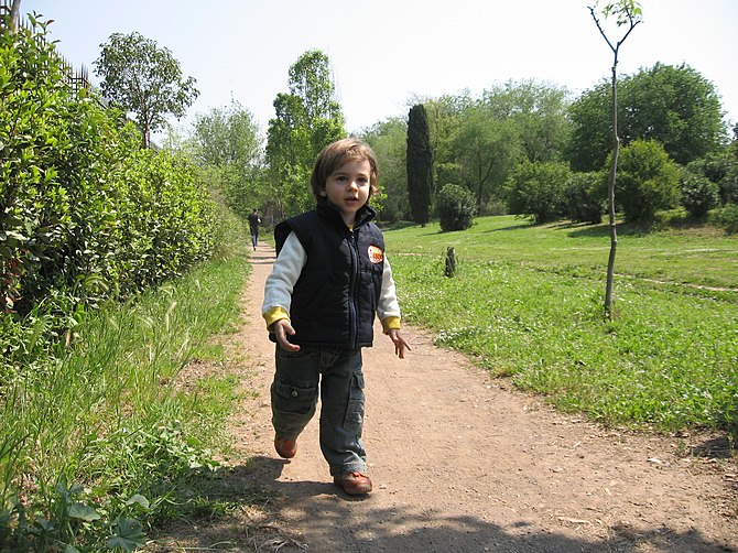 Boy toddler. A child running in the park.