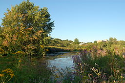 Riverharingo Brook Reservation.jpg