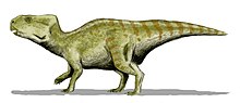 Miniatura para Auroraceratops rugosus