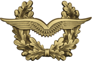 Streitkräfteabzeichen für Luftwaffenuniformträger der Dienstgradgruppen Unteroffiziere (außer Oberfähnriche) und Mannschaften