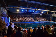 Zeeleeuwentheater Blue Lagoon