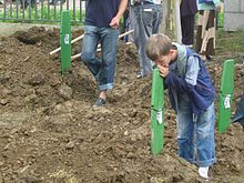 A boy at a grave during the 2006 funeral of genocide victims Boy at 2006 Srebrenica funeral.jpg