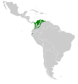 Range of C. buffonii